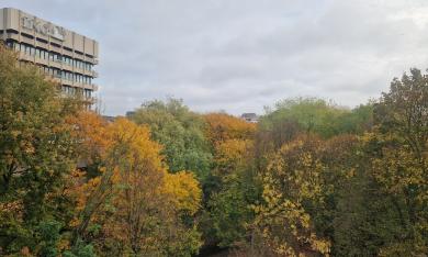 Vue sur l'environnement extérieur