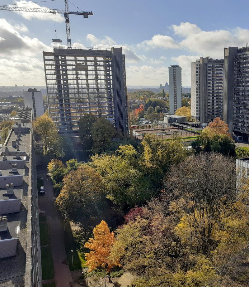 Vue sur les rénovations de la Cité Modèle