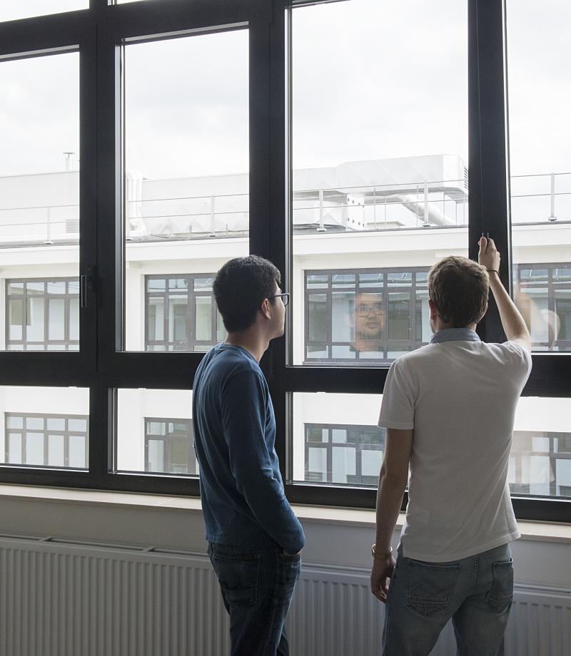 Personnes devant une fenêtre